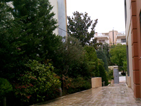 Κλάδεμα θάμνων και επιμέλεια του περιβάλλοντα χώρου